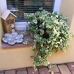 La Longere Des Capucines Bed & Breakfast Bergholtz
