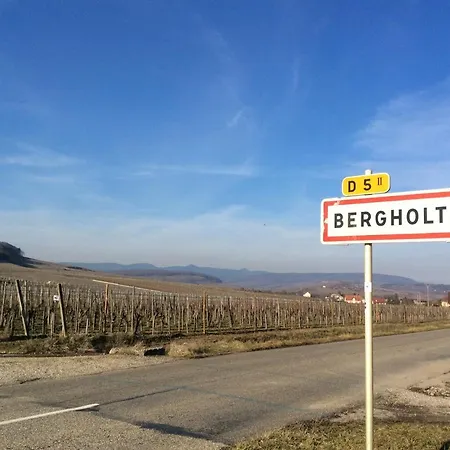 La Longere Des Capucines Bergholtz