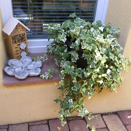 La Longere Des Capucines Panzió Bergholtz